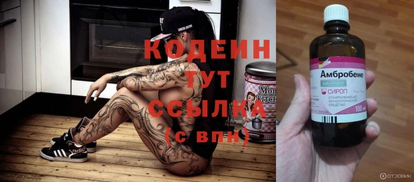 стафф Алексин