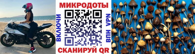 как найти   Берёзовка  omg tor  Галлюциногенные грибы Magic Shrooms 